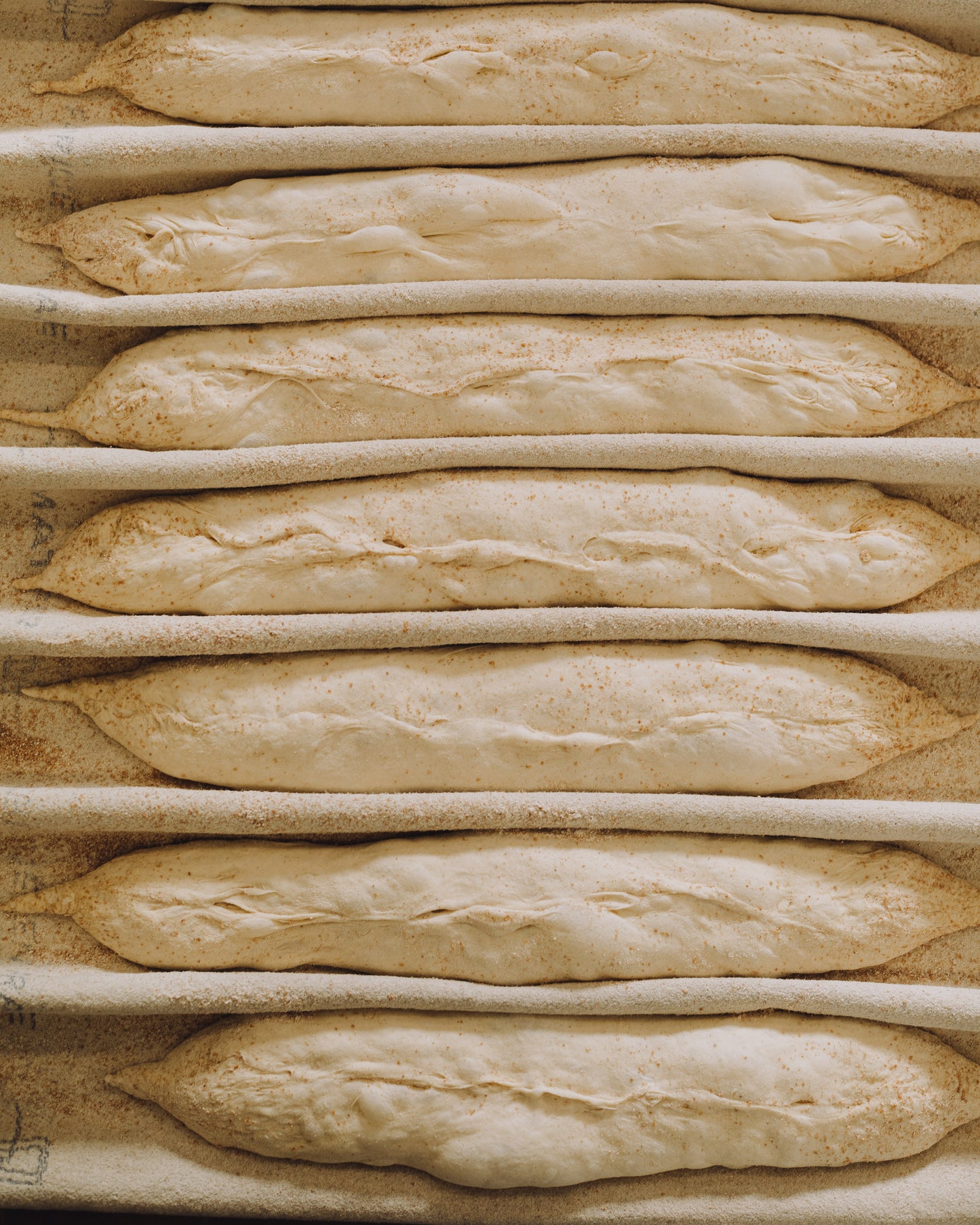 BAGUETTE